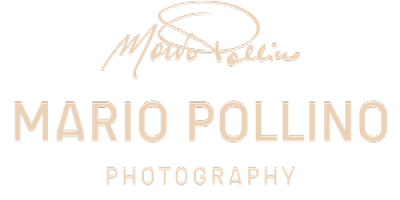 LOGO-Pollino_300